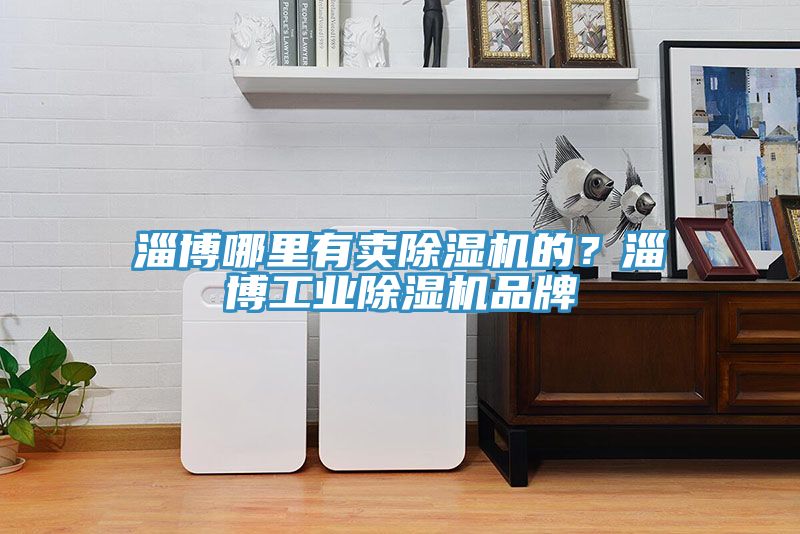 淄博哪里有賣除濕機(jī)的？淄博工業(yè)除濕機(jī)品牌