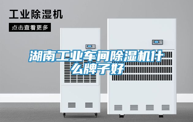 湖南工業(yè)車(chē)間除濕機(jī)什么牌子好