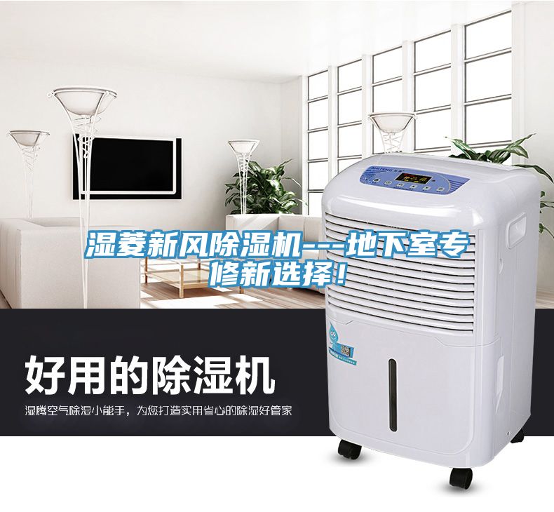 濕菱新風(fēng)除濕機(jī)---地下室專(zhuān)修新選擇！