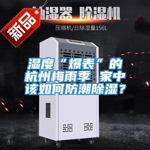 濕度“爆表”的杭州梅雨季 家中該如何防潮除濕？