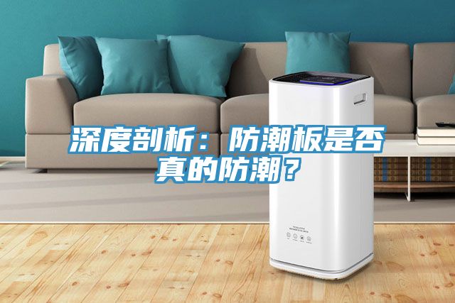 深度剖析：防潮板是否真的防潮？
