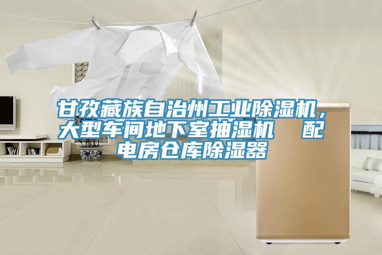 甘孜藏族自治州工業(yè)除濕機(jī)，大型車間地下室抽濕機(jī)  配電房倉(cāng)庫(kù)除濕器