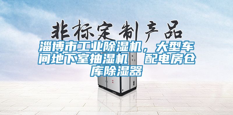 淄博市工業(yè)除濕機，大型車間地下室抽濕機  配電房倉庫除濕器