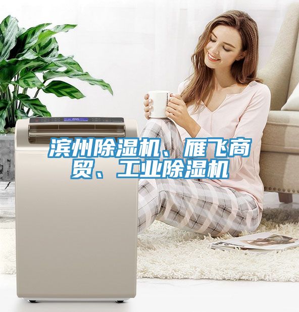 濱州除濕機(jī)、雁飛商貿(mào)、工業(yè)除濕機(jī)