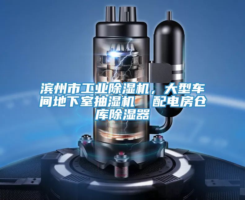 濱州市工業(yè)除濕機(jī)，大型車(chē)間地下室抽濕機(jī)  配電房倉(cāng)庫(kù)除濕器