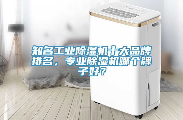 知名工業(yè)除濕機(jī)十大品牌排名，專業(yè)除濕機(jī)哪個(gè)牌子好？