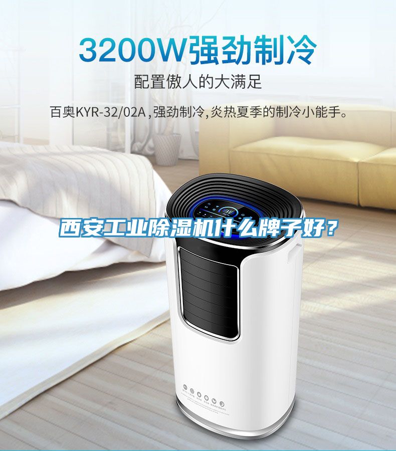 西安工業(yè)除濕機(jī)什么牌子好？