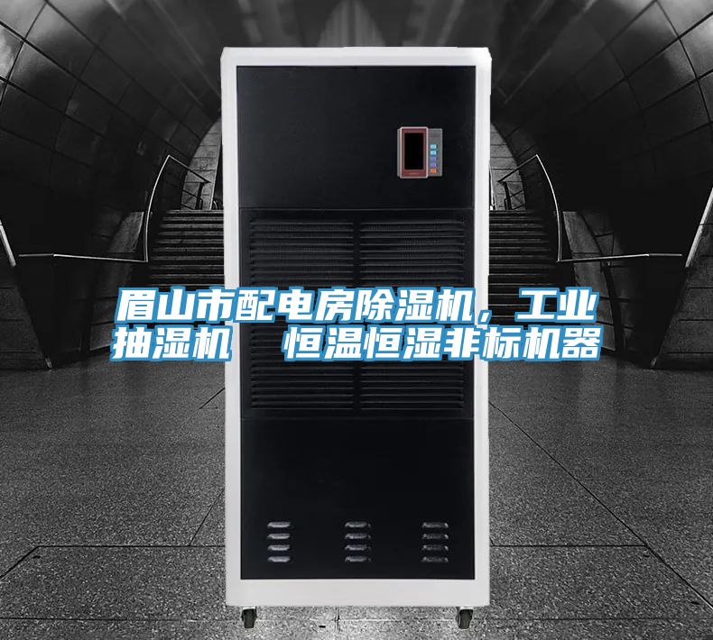 眉山市配電房除濕機(jī)，工業(yè)抽濕機(jī)  恒溫恒濕非標(biāo)機(jī)器