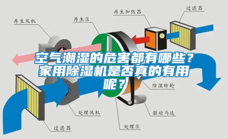 空氣潮濕的危害都有哪些？家用除濕機(jī)是否真的有用呢？