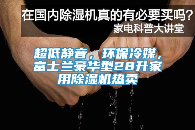 超低靜音，環(huán)保冷媒，富士蘭豪華型28升家用除濕機(jī)熱賣
