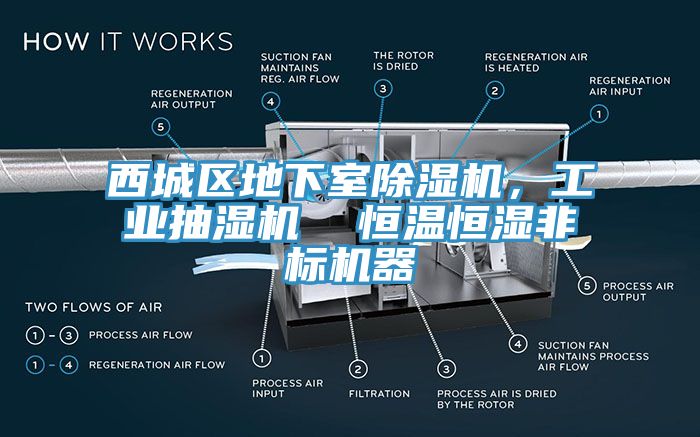 西城區(qū)地下室除濕機(jī)，工業(yè)抽濕機(jī)  恒溫恒濕非標(biāo)機(jī)器