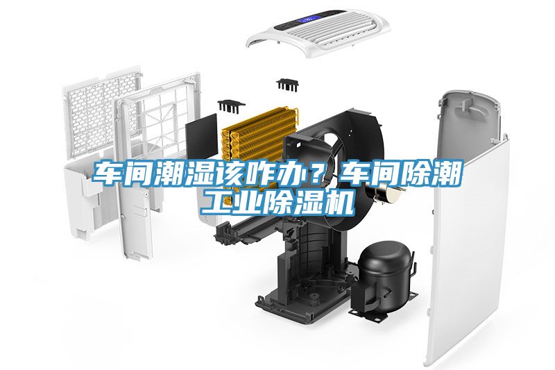 車間潮濕該咋辦？車間除潮工業(yè)除濕機(jī)