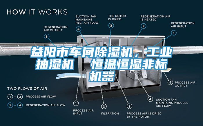 益陽(yáng)市車間除濕機(jī)，工業(yè)抽濕機(jī)  恒溫恒濕非標(biāo)機(jī)器