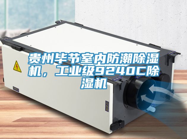貴州畢節(jié)室內(nèi)防潮除濕機(jī)，工業(yè)級(jí)9240C除濕機(jī)