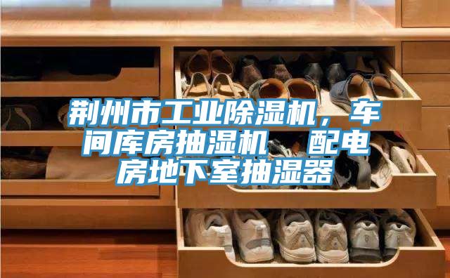荊州市工業(yè)除濕機，車間庫房抽濕機  配電房地下室抽濕器