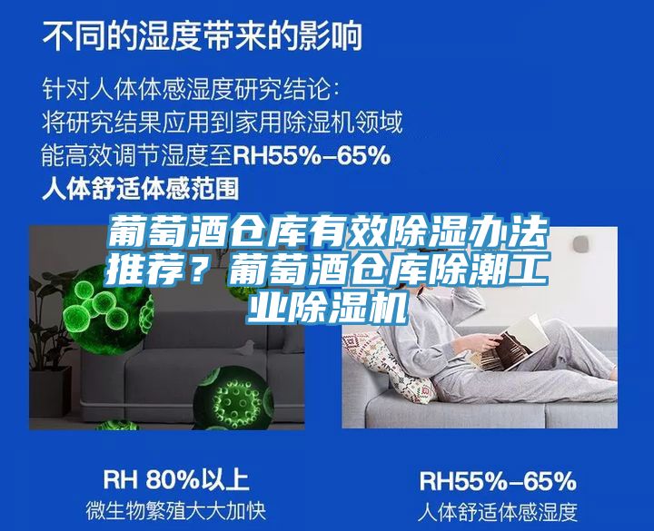 葡萄酒倉庫有效除濕辦法推薦？葡萄酒倉庫除潮工業(yè)除濕機(jī)