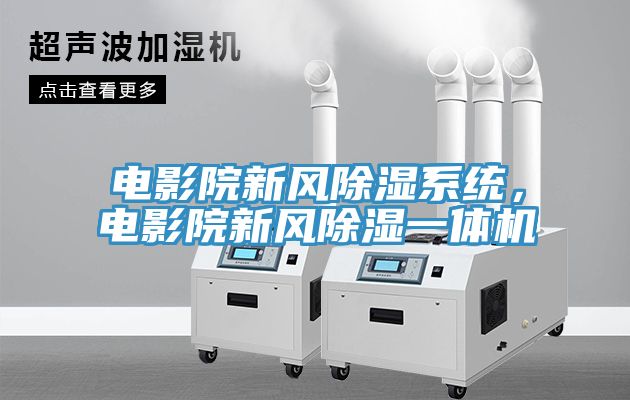 電影院新風(fēng)除濕系統(tǒng)，電影院新風(fēng)除濕一體機(jī)