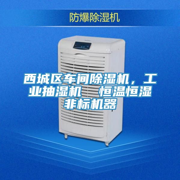 西城區(qū)車間除濕機(jī)，工業(yè)抽濕機(jī)  恒溫恒濕非標(biāo)機(jī)器