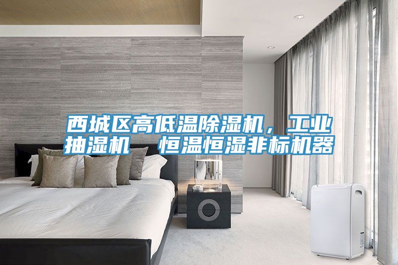 西城區(qū)高低溫除濕機(jī)，工業(yè)抽濕機(jī)  恒溫恒濕非標(biāo)機(jī)器