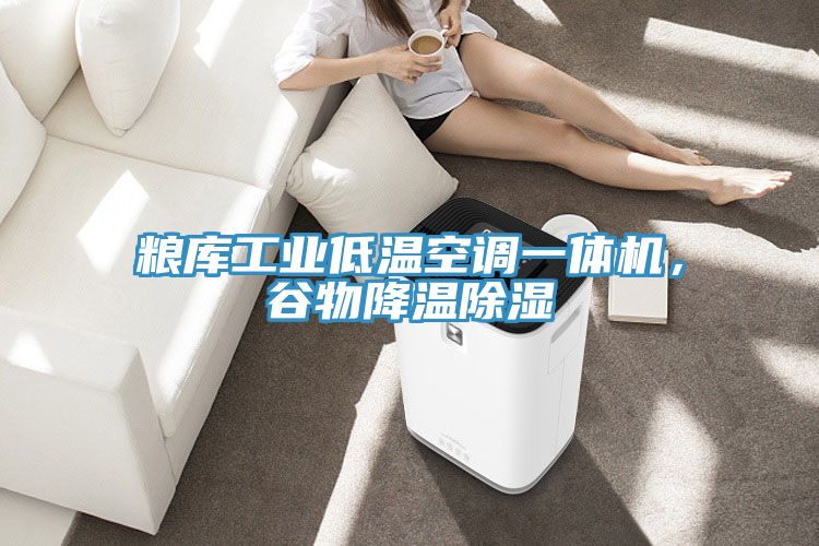 糧庫工業(yè)低溫空調(diào)一體機，谷物降溫除濕