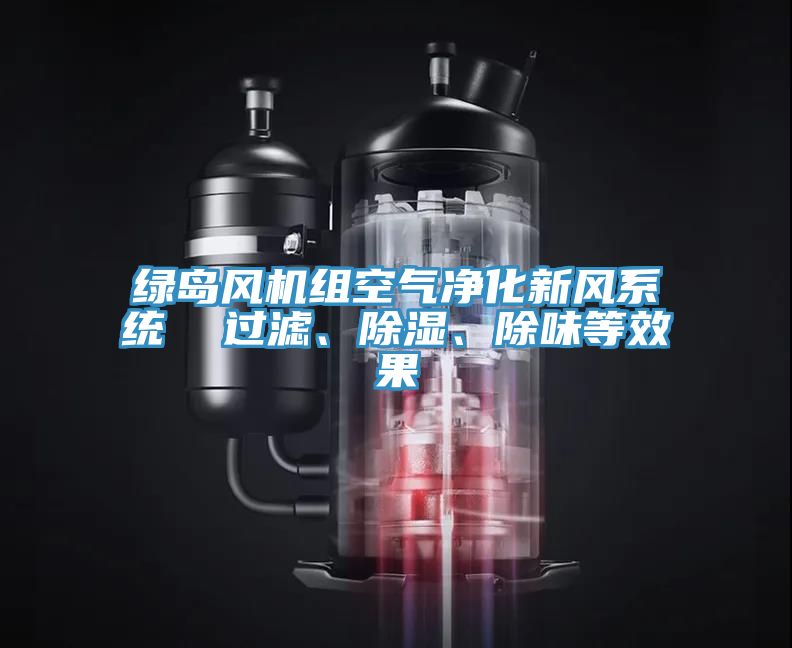 綠島風(fēng)機組空氣凈化新風(fēng)系統(tǒng)  過濾、除濕、除味等效果