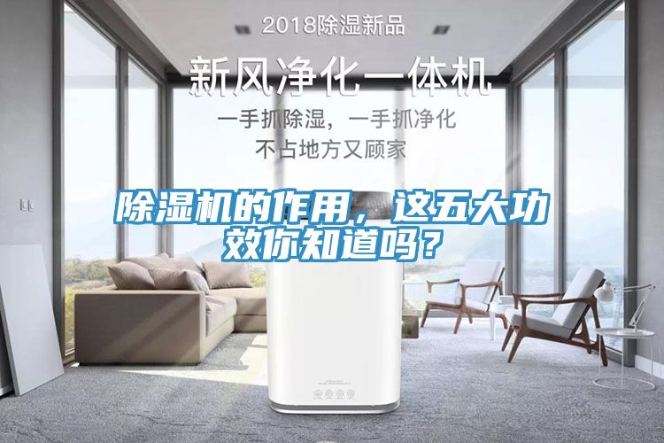 除濕機的作用，這五大功效你知道嗎？