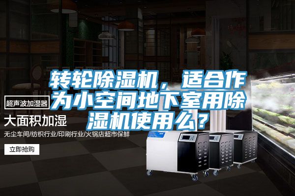 轉輪除濕機，適合作為小空間地下室用除濕機使用么？