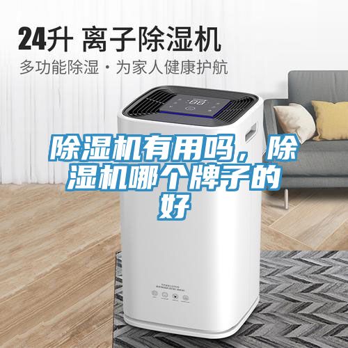 除濕機(jī)有用嗎，除濕機(jī)哪個(gè)牌子的好