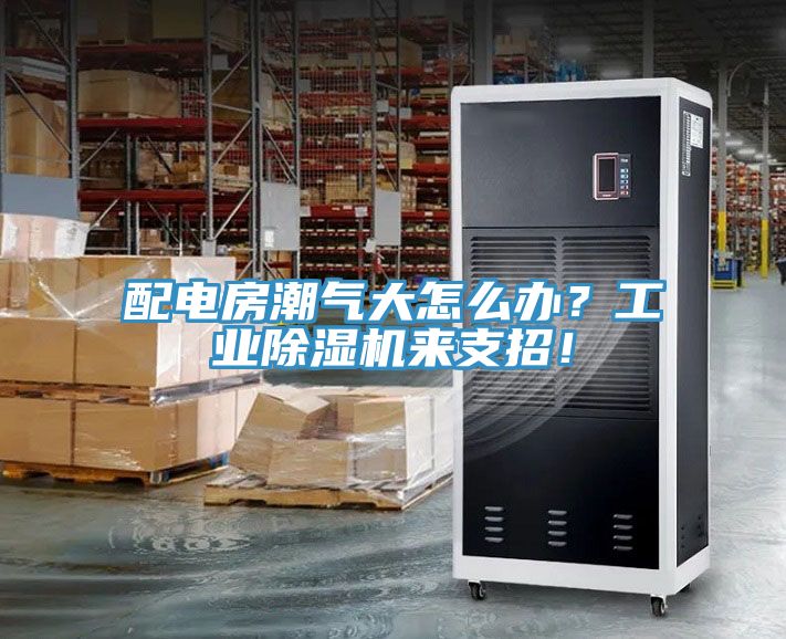 配電房潮氣大怎么辦？工業(yè)除濕機(jī)來(lái)支招！