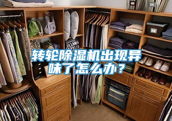 轉(zhuǎn)輪除濕機(jī)出現(xiàn)異味了怎么辦？