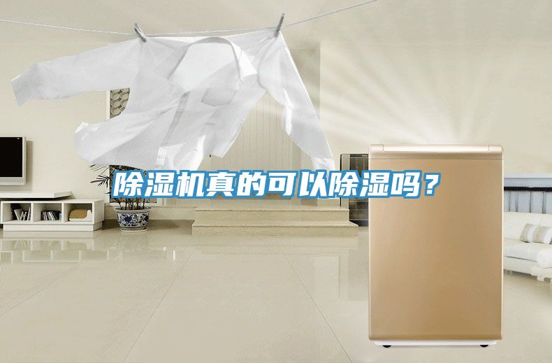 除濕機(jī)真的可以除濕嗎？