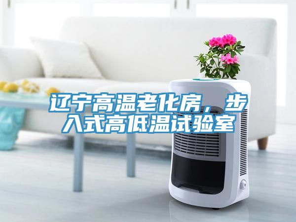 遼寧高溫老化房，步入式高低溫試驗室