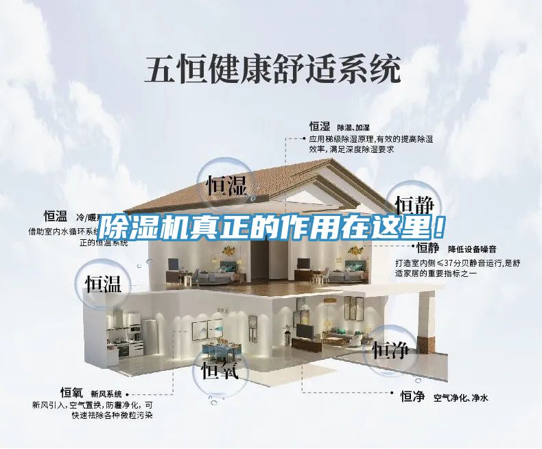 除濕機真正的作用在這里！