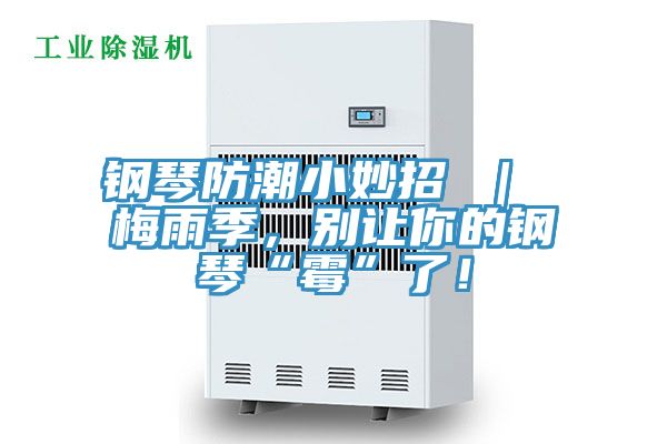 鋼琴防潮小妙招 ｜ 梅雨季，別讓你的鋼琴“霉”了！
