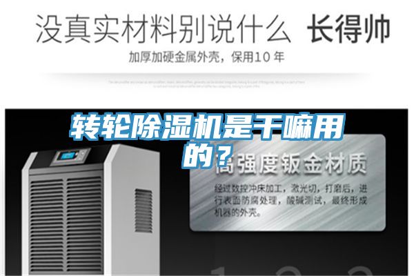 轉(zhuǎn)輪除濕機(jī)是干嘛用的？