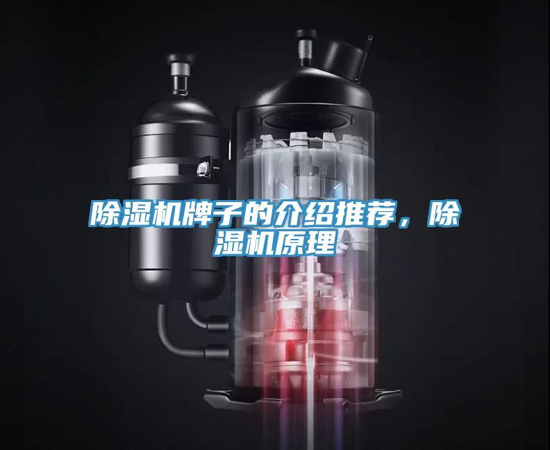 除濕機(jī)牌子的介紹推薦，除濕機(jī)原理