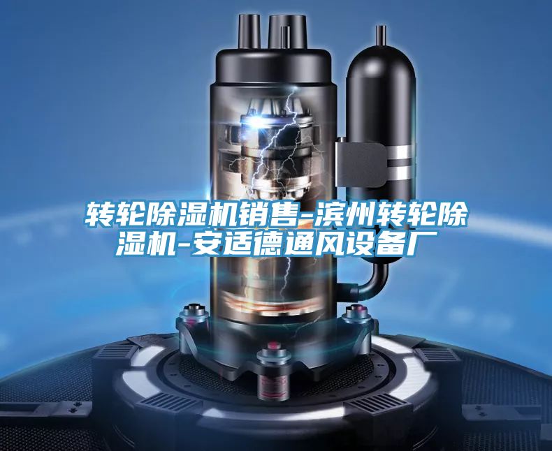 轉(zhuǎn)輪除濕機(jī)銷(xiāo)售-濱州轉(zhuǎn)輪除濕機(jī)-安適德通風(fēng)設(shè)備廠(chǎng)