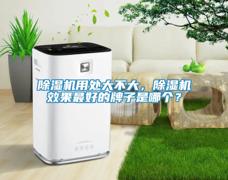 除濕機(jī)用處大不大，除濕機(jī)效果最好的牌子是哪個？