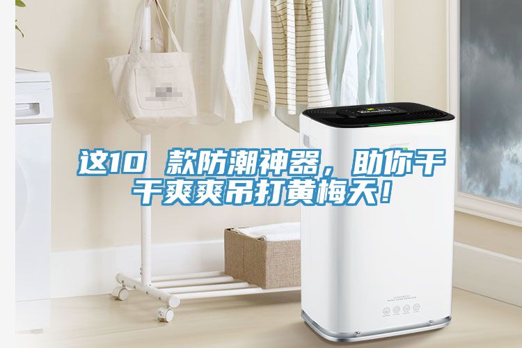 這10 款防潮神器，助你干干爽爽吊打黃梅天！