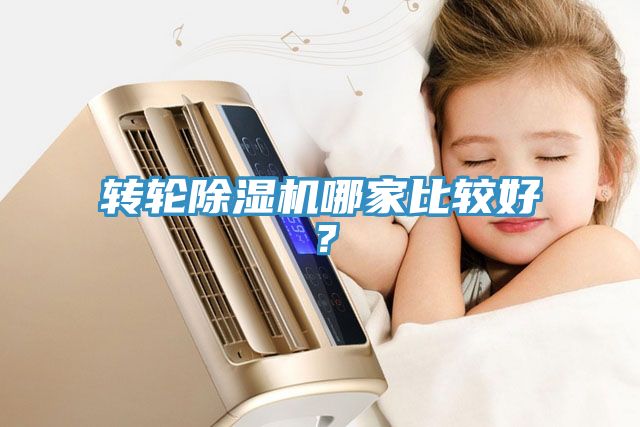 轉(zhuǎn)輪除濕機(jī)哪家比較好？