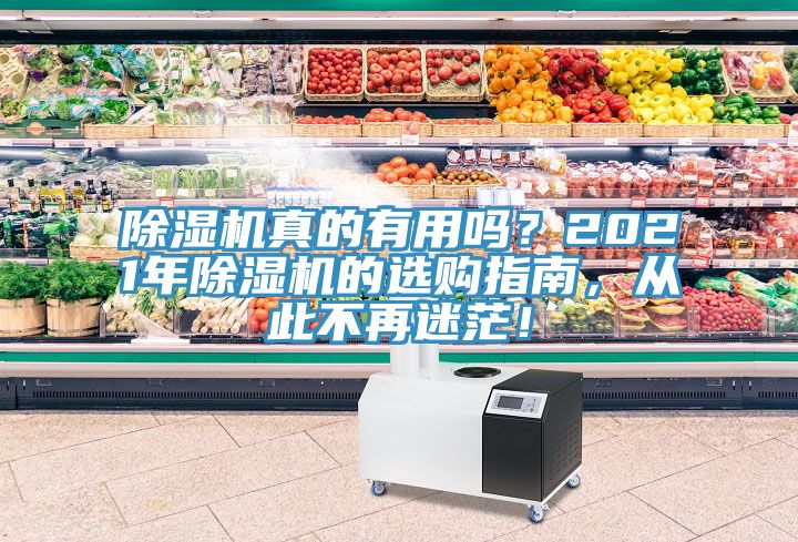 除濕機(jī)真的有用嗎？2021年除濕機(jī)的選購指南，從此不再迷茫！