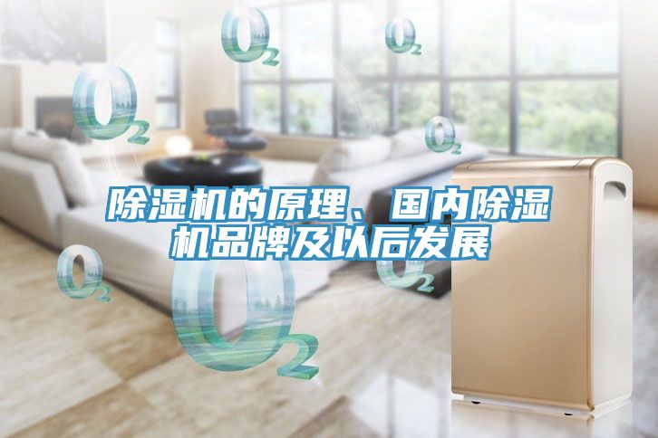 除濕機(jī)的原理、國(guó)內(nèi)除濕機(jī)品牌及以后發(fā)展