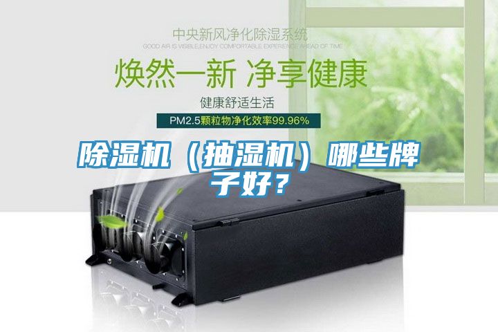 除濕機（抽濕機）哪些牌子好？
