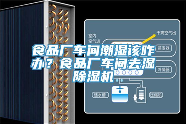 食品廠車間潮濕該咋辦？食品廠車間去濕除濕機(jī)