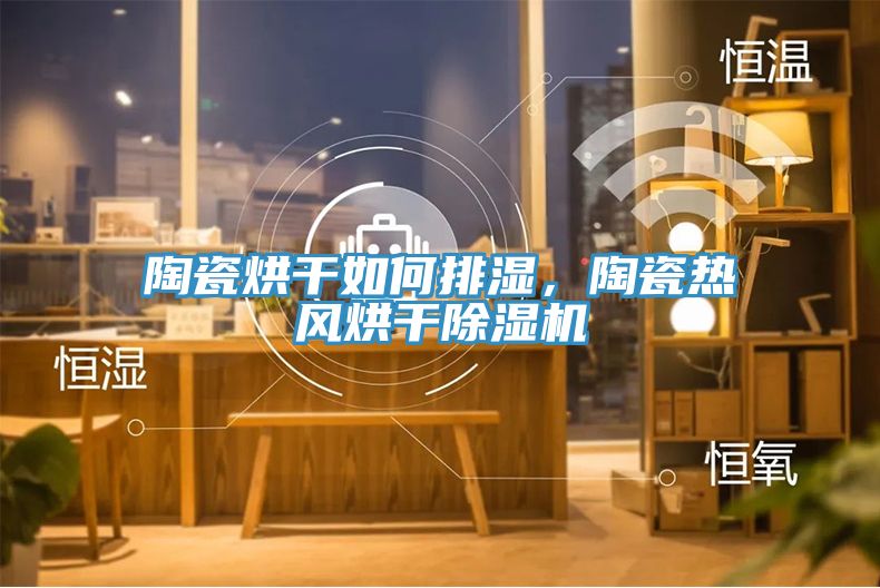 陶瓷烘干如何排濕，陶瓷熱風烘干除濕機
