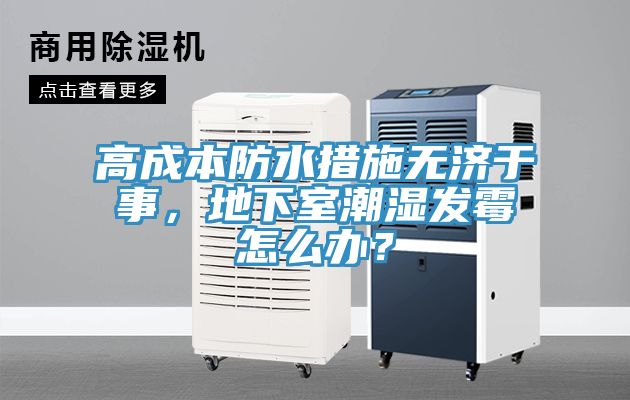 高成本防水措施無濟于事，地下室潮濕發(fā)霉怎么辦？