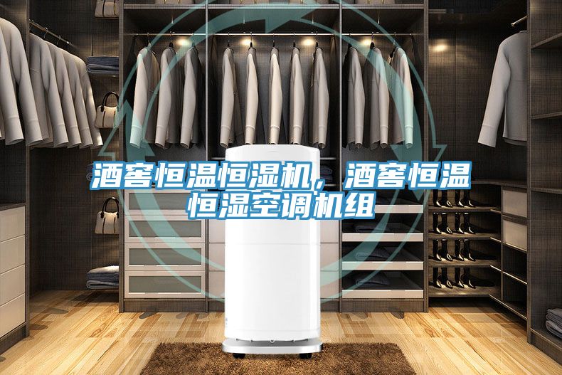 酒窖恒溫恒濕機(jī)，酒窖恒溫恒濕空調(diào)機(jī)組