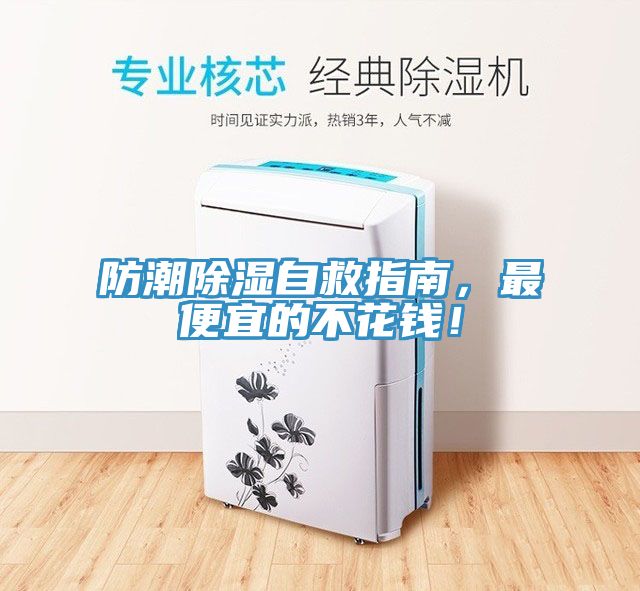 防潮除濕自救指南，最便宜的不花錢！