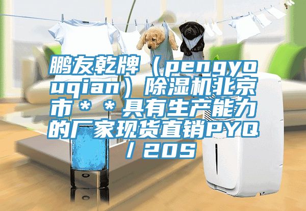 鵬友乾牌（pengyouqian）除濕機(jī)北京市＊＊具有生產(chǎn)能力的廠家現(xiàn)貨直銷(xiāo)PYQ／20S