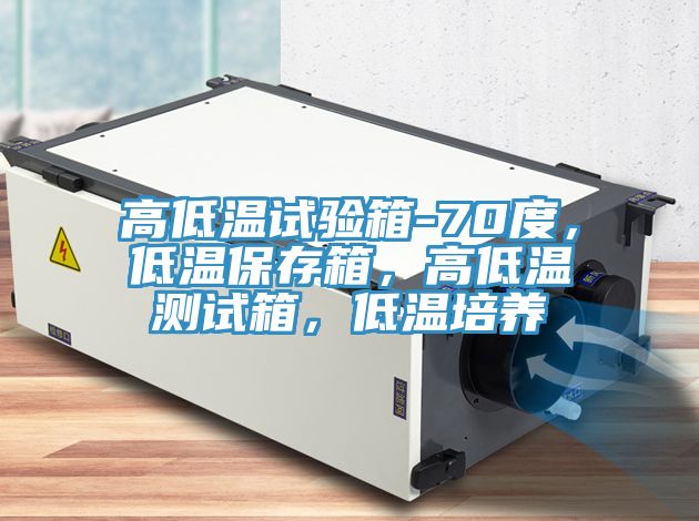 高低溫試驗(yàn)箱-70度，低溫保存箱，高低溫測(cè)試箱，低溫培養(yǎng)